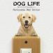 DOG LIFE Color собака жизнь цвет [ Rav Rado ruretoli балка ] собака цвет настенный стикер 