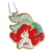 Disney Princess / COOKIE CHARMCOT [3.ꥨ(2)]ڥͥݥбۡC