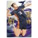  театр версия Haikyu!!!! мусор выбрасывать место. решение битва вафли [9. восток . asahi ( герой карта )][ кошка pohs рассылка соответствует ][C]