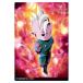 itajaga Dragon Ball vol.5 [4... бог ( Mini )(R)][ кошка pohs рассылка соответствует ][C]