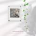 instax mini�p instax SQUARE�p �`�F�L�ʐ^�p ���� �A�N���� �}�O�l�b�g���`�F�L�t�H�g�t���[�� �①�Ƀt���[��/�`�F�L�X�N�G�A�p���Ύ��t�H�g�t���[�� �֘A�摜5