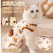  кошка . после одежда собака . после одежда собака кошка кошка теплый . после одежда . после надеты царапина . облизывание нет .... подгузники мужчина женщина для собака . после одежда ... после одежда царапина облизывание предотвращение кожа царапина . защита 