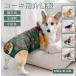  собака для правила поведения одежда Corgi специальный . собака специальный трусы для животных собака для гигиенический брюки менструация брюки непромокающие трусики подтяжки имеется ремень для животных менструация для уход собака одежда 