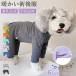  собака . после одежда 4 ножек длинный рукав . после надеты . после одежда царапина . облизывание нет .... подгузники девочка мужчина собака . после одежда кожа защита весна лето осень-зима спина открытие детский комбинезон комбинезон пижама 