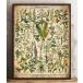 [ cloth poster ] medicine for plant illustrated reference book herb spice fabric panel ornament 