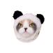 ne это головной убор симпатичный симпатичный .... Chan Panda * письмо кейс &amp; слежение номер есть mail соответствует 