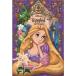 ѥ 70ԡ ѥǥ졼miniʥǥˡBook Theme Rapunzel 10x14.7cm 70-104