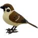  японский дикая птица музыка bird szme бесплатная доставка 