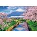  составная картинка 1000 деталь Sakura . гора Фудзи . Shinkansen - Shizuoka 50×75cm 11-621s бесплатная доставка 