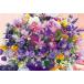  составная картинка 1000 микро деталь цветок цвет Sera pi-. удача ... лаванда цвет M61-704 Beverly бесплатная доставка 