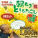< 送料無料 > 極甘 フルーツコーン 朝もぎとうもろこし ゆめのコーン お試しセット 6本セット 約2.5kg