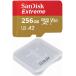 [ flat line импортные товары ]SanDisk ( ) 256GB (1 ) Extreme microSDXC 190MB/s UHS-I SDSQXAV-256G-GN6MN GoRAM 1 (256GB)