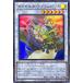 ͷ ץԥꥫ ѡ쥢 DAWN OF MAJESTY ɡ󡦥֡ޥƥ DAMA-JP040 󥯥 ° ²