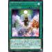 ͷ ŷͽ 쥢 DIMENSION FORCE DIFO ǥ󥷥󡦥ե եˡ 쥢