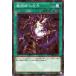 ͷ ѻդκ Ρޥѥ SECRET SHINY BOX å 㥤ˡ ܥå SSB1-JP038 ³ˡ