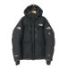 THE NORTH FACE �����Ρ����ե����� HIMALAYAN PARKA �ҥޥ���ѡ�����  SUMMIT SERIES �����󥸥㥱�å�