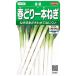 sakata. tane реальный . овощи 3802 весна .. 1 шт лук порей весна .00923802