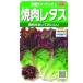  реальный . овощи lettuce yakiniku lettuce красный лист chima* гибрид сельдерея и салата маленький пакет 003038