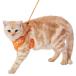 petio(Petio) кошка для шлейка легкий кошка Harness orange 