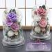 [ free shipping ]. flower preserved flower dome arrange .... flower .... O-Bon new tray 