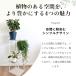 �t�����[�X�^���h �I ���O ���� �ϗt�A�� �v�����^�[�X�^���h �L���X�^�[ �ؐ� �A�ؔ��� �L���X�^�[�t�� �ԑ� �ԕr�� ������� �֘A�摜4