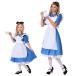 meido cosplay Gothic and Lolita | costume clothes Lolita One-piece lady's long height pretty Halloween costume parent . dress woman parent . fancy dress 