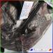 AO Coolers 12PACK DELUX MOSSY OAK / AO�N�[���[�Y �f���b�N�X ���b�V�[�I�[�N 12�p�b�N �\�t�g�N�[���[ �֘A�摜5