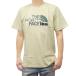 THE NORTH FACE Ρե 󥺥롼ͥåT NF0A87NT / M S/S MOUNTAIN LINE TEE 