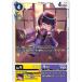  C EX9-027 ǥ󥫡ɥ