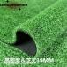  green green color DIY weed proofing .. measures artificial lawn raw mat lawn grass height 15MM artificial lawn roll gardening garden shop on green .1M*5M-2M*25M