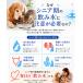 �y�b�g ���f�� 330ml 10�{ �L �� �� �y�b�g�p���f�� �y�b�g���f�� �����f�� �L���f�� ���f���y�b�g �L�p ���p �y�b�g�p ������ �~�l�����[�� ZERO�~�l���� �֘A�摜3