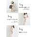 �y DECO�~TONTO �В��V�����_�[�o�b�O�z �֘A�摜5