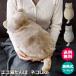 ������� �[�d�� �~�M�� ���킢�� �ʂ��ʂ� EWT-2328 neko Like �X���[�A�b�v