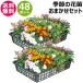  сезон. цветок рассада случайный комплект 48 pot 1187 hananae-34