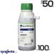 �i�@�l����j�V���W�F���^ �^�b�`�_�E��iQ 500ml�~100�{�Z�b�g SGT-404432-100S