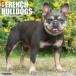 �t�����` �u���h�b�O �J�����_�[ ���߂��� 2027�N �Ǌ|�� �ߘa9�N �� ����� WILLOW CLEEK �v���[���g �M�t�g �a���� �N���X�}�X �g���X�g�����|�C���g