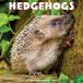  календарь еж Hedgehog [ постоянный размер / орнамент ] 2026 год . мир 8 год календарь мелкие животные месяц ... импорт средний ..ui low k утечка квадратный тип подарок 