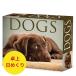  день ... календарь различный собака Dogs [ настольный / день ...]BOX 2026 год . мир 8 год календарь papi- собака вид другой календарь собака SDG*s импорт wi low k утечка настольный календарь 