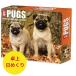  день ... календарь Pug [ настольный / день ...]BOX 2026 год . мир 8 год календарь papi- собака вид другой календарь собака SDG*s импорт wi low k утечка настольный календарь 