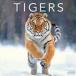  Tiger . тигр календарь 2027 год месяц ... орнамент . мир 9 год календарь . сырой животное импорт средний ..Avonside подарок подарок день рождения Рождество Trust one отметка 