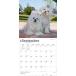 �}���`�[�Y �J�����_�[ 2027�N ���߂��� �Ǌ|�� �ߘa9�N ����� �� �A�� �唻 brown trout �v���[���g �M�t�g �a���� �N���X�}�X �g���X�g�����|�C���g �֘A�摜2