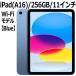2025ʡApple iPad   11 11 IPS ֥롼 MD4H4J/A A16 5 256GB Wi-Fi 6 iPad OS 18 USB-C Ķѥ ǧ Blue