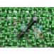 GSX-R1100 饸ܥ    Х  400 SKYWAVE400 DR-Z400SM ߸ͭ ¨Ǽ ָ Genuine SV650
