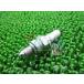 ɥ쥹V125 ץ饰CR6HSA ߸ͭ ¨Ǽ    Х  Сǥ90 ɥ쥹V50 祤Υ Сǥ50 ָ Genuine 38