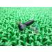 AR125S ݥץСܥB 220AB0625 ߸ͭ ¨Ǽ 掠   Х    ָ Genuine AR125 KX60 KVF750