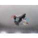 KX125 KX250 åȥ륹塼 ߸ͭ ¨Ǽ 掠   Х  ָ Genuine 4