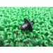 BOLT ɥС٥å ߸ͭ ¨Ǽ ޥ   Х  ܥ ָ Genuine ɥå400 YZF-R1 XJR400R T-MAX 58