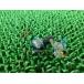 CB1300SF ե󥸥ܥ ߸ͭ ¨Ǽ ۥ   Х  8X18 ߸ͭ ¨Ǽ ָ Genuine CB1300SB VF750F DN-01 VT1300CX 7