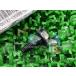 TL1000R 쥮쥿ơܥ ߸ͭ ¨Ǽ    Х  ߸ͭ ¨Ǽ ָ Genuine 250 GSX-R750 69