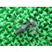 TW225E ֥졼С塼 ߸ͭ ¨Ǽ ޥ   Х  ָ Genuine SR400 ɥå400 V-MAX 225 51